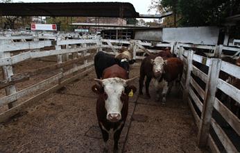 Valores favorables en Liniers por el consumo especial liviano