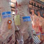 Los proveedores de ganado para faena de exportación a la UE deberán validar sus caravanas antes del 1 de julio