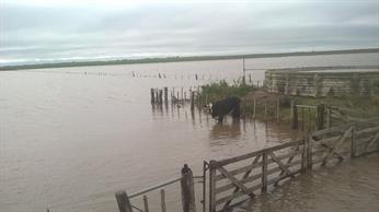 La Pampa: en seis días llovió lo mismo que todo un año y los productores hablan de un «desastre» para el campo