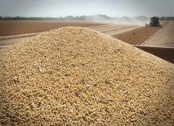 La molienda de soja cayó 21% en el primer bimestre del año