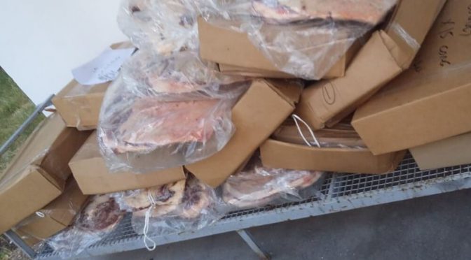 Suspendieron a 15 exportadoras de carne por “evadir controles del Estado” e interdictaron más de 40 toneladas