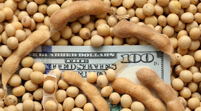 El informe del USDA estuvo lejos de las proyecciones y la soja sumó US$ 25 en una jornada