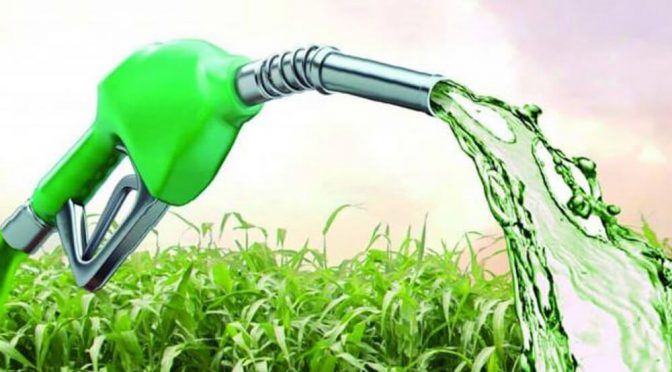 Biocombustibles: “Una rebaja del corte le demandaría al país mayores importaciones de naftas”