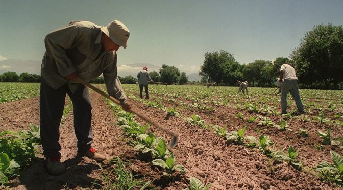 Extenderán hasta el 30 de junio el Plan de Facilidades de Pago para empleadores rurales