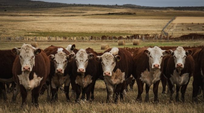 El debate por la barrera sanitaria no avanza y desde la Patagonia advierten: “Ya hay un parate importante”