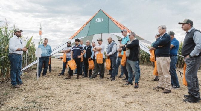 Maíz: un “rally” de 600 kilómetros mostró el camino para mejorar la productividad