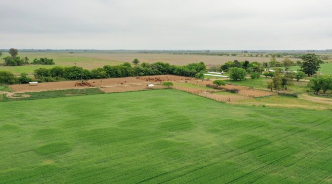 Mercado inmobiliario rural: “Todo indica que los activos, incluida la tierra, van a mejorar su valor”