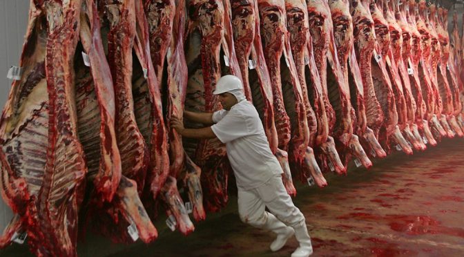 ¿Retoma la senda alcista?: la faena bovina cortó el tobogán y vuelve a aumentar la oferta de carne
