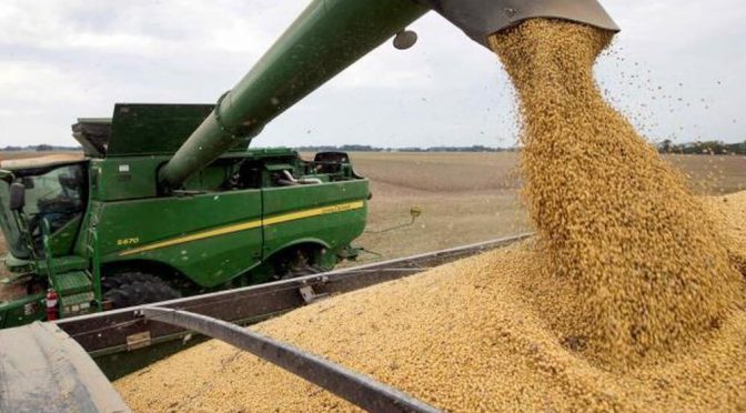 La noticia que esperaba el Gobierno: se activaron con fuerza las ventas de soja
