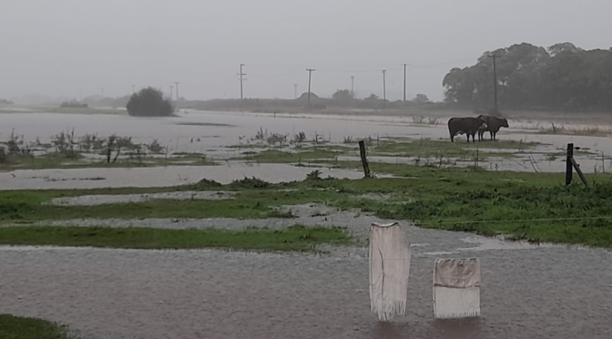 Un desastre en pleno otoño: Buenos Aires bajo el agua y hay alerta rojo por más lluvias