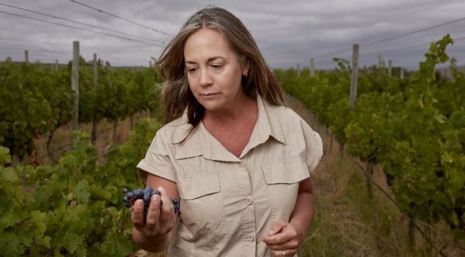 “Todos los días intento emocionar con los vinos”: Mariela, la enóloga, agrónoma y docente que torció la historia