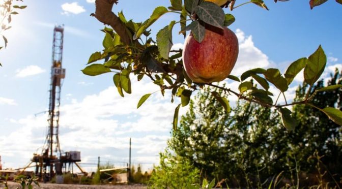 El “lado B” de Vaca Muerta: la expansión del fracking achica las hectáreas frutícolas en el Alto Valle