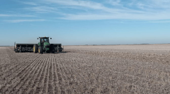 Comenzó la siembra de trigo: desde el Gobierno, proyectan un aumento del 6,2%