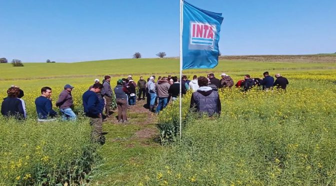 Mientras se demora el decreto “reestructurador”, el INTA cosecha más apoyos del ruralismo
