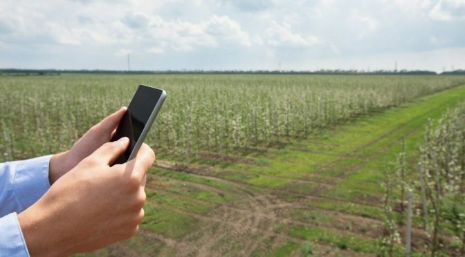 Google sigue de cerca al campo argentino: por qué observa un “rearraigo” en zonas rurales