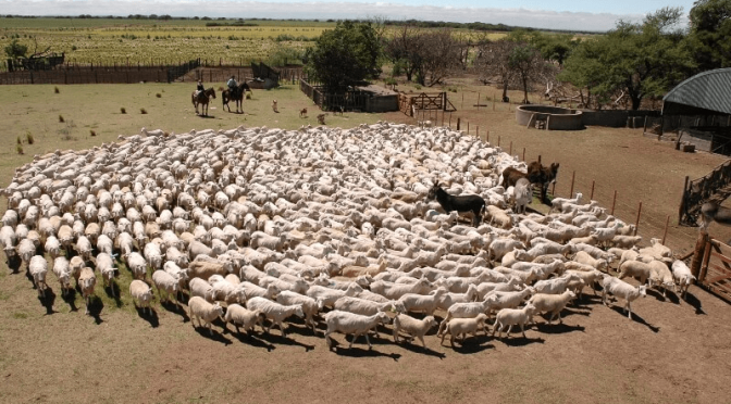 Indignación en la Patagonia: una grave acusación contra el Gobierno eleva el conflicto por la barrera sanitaria
