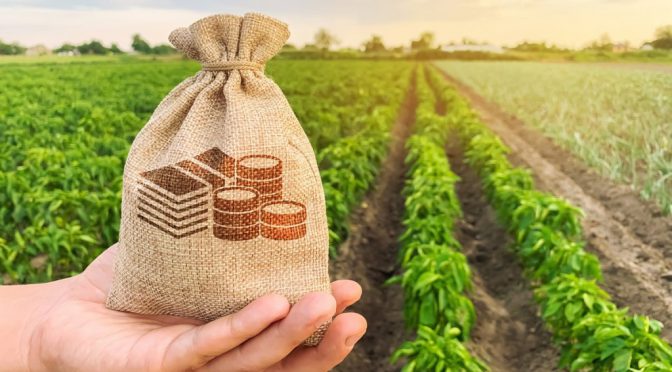 El Congreso eliminó una exención fiscal para las SGR y desde el agro piden reverlo: “El impacto es grave”