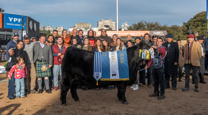 “Es un vacón”: una hembra Angus sobresale en Palermo al ser gran campeona por 2° año consecutivo