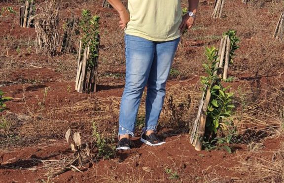 Vivir y cambiar: Soledad dejó su vida en Buenos Aires para ser productora y defender a la yerba mate