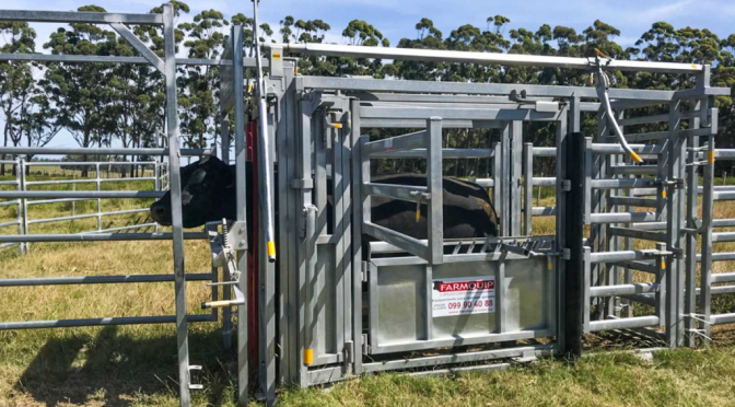 La ganadería refuerza la tecnología para producir más y con mejor bienestar animal