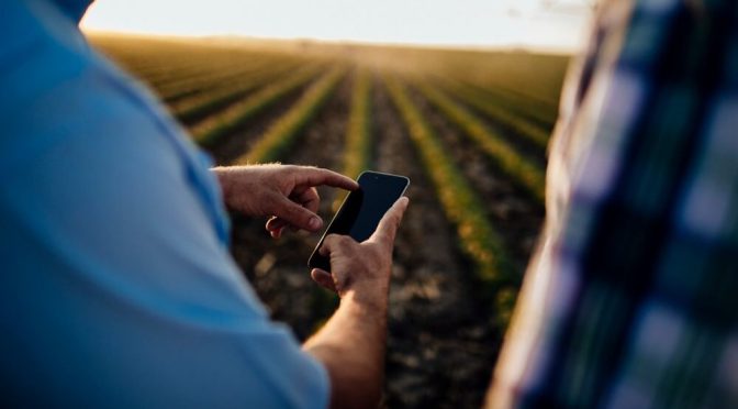 Crece el financiamiento para el agro, con los créditos en dólares a la cabeza de la demanda
