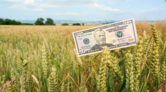 Una solución no exenta de problemas: el dólar unificado y el espíritu inquebrantable del productor argentino