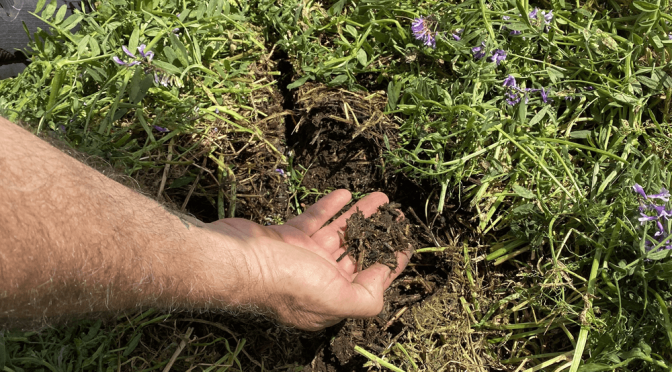 La oportunidad de la “descarbonización”: cómo ganar rentabilidad con la producción de servicios ecosistémicos