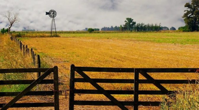 Cultivar la tierra en Argentina, un negocio de “terceros”: el 70% se hace en campos alquilados