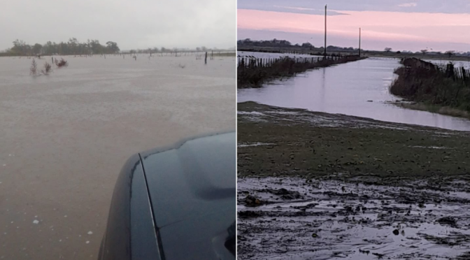 Inundaciones en Buenos Aires: “Reclamamos la ejecución inmediata del Plan Maestro del Río Salado”