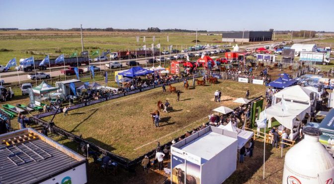 Con predio renovado, los Angus se preparan para su festejo de primavera en Cañuelas