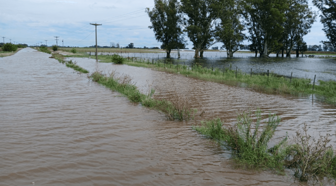 Inundaciones: ARCA habilitó beneficios impositivos para productores en emergencia de Buenos Aires