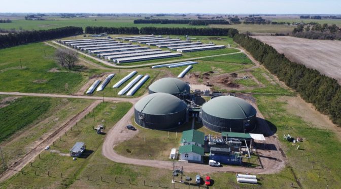De los efluentes a la energía: el modelo porcino que ilumina a 5.000 personas