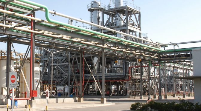 El biodiésel, al borde del colapso: denuncian incumplimiento de la Ley y piden a Caputo que intervenga
