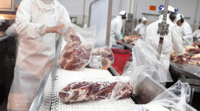Como en la Patagonia: el NOA se abre paso por la Cordillera para llegar con su carne a Chile