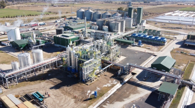 “Los biocombustibles son federalismo en acción: es una ley que multiplica oportunidades, no costos”