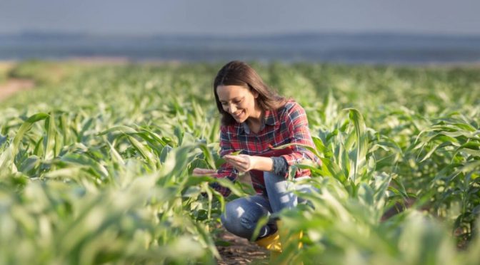 Día Internacional de la Mujer Rural: “No solo trabajan la tierra, la transforman”