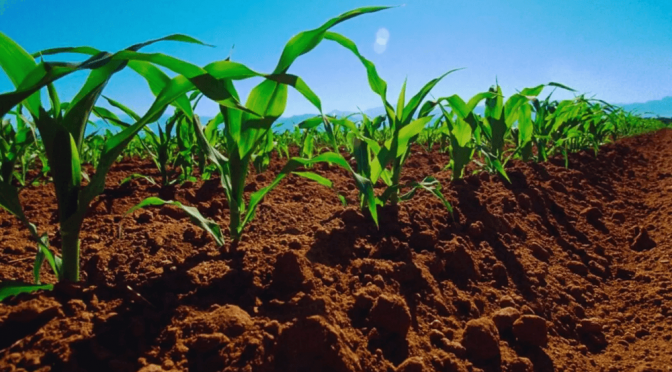 Cambio climático: “La cadena agroindustrial argentina fue, es y seguirá siendo parte de la solución”