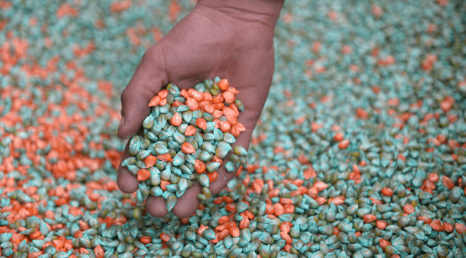 Especial fertilización: los números de un mercado clave para nutrir el crecimiento del agro