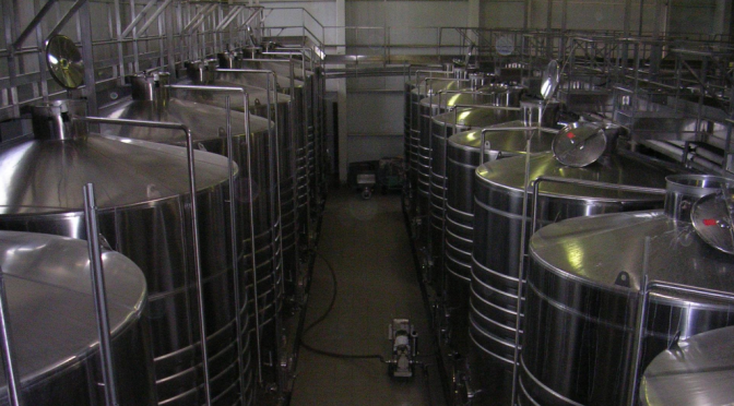 Silencio en las bodegas: la vitivinicultura reacciona con cautela a los cambios en el INV