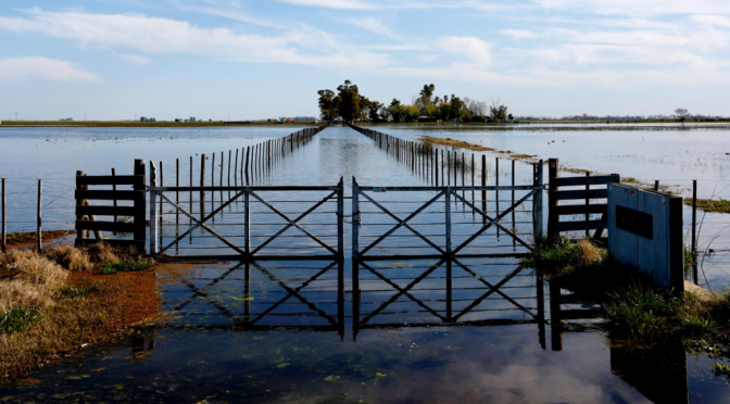 “Ilegal e improcedente”: fuerte crítica de CARBAP por la suba del Inmobiliario Rural en medio de las inundaciones