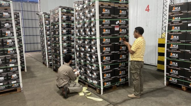 Las naranjas de Entre Ríos desembarcan en un nuevo mercado de exportación: Ecuador