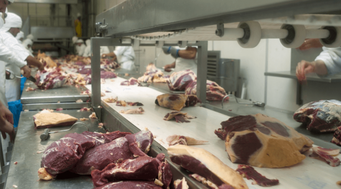 Frigoríficos: a la expectativa por el acuerdo con EEUU, pero en alerta por una faena “informal” que no cesa