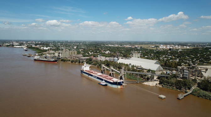 El trigo es un verdadero “boom”: aún no inició la campaña comercial y ya hay récord de embarques