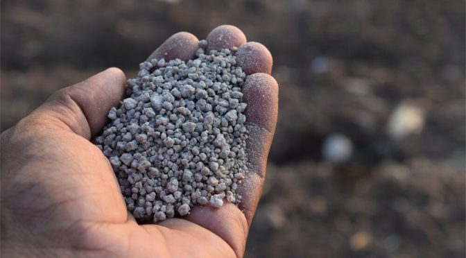 Fertilizantes: 2025 podría quedar en el podio de los años de mayor consumo en la historia argentina