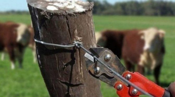 San Luis, otra provincia jaqueada por los delitos rurales: piden una audiencia urgente con el gobernador