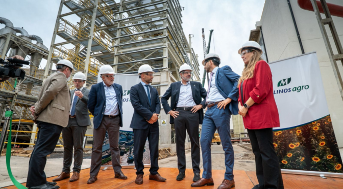 El rebrote del girasol también moviliza inversiones: U$S 12 millones para molienda a la vera del Paraná