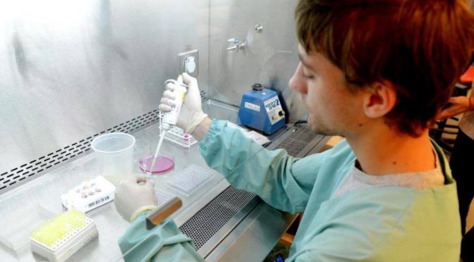 Récord biotecnológico: en dos años, Argentina aprobó más de un cuarto de los OGM de su historia