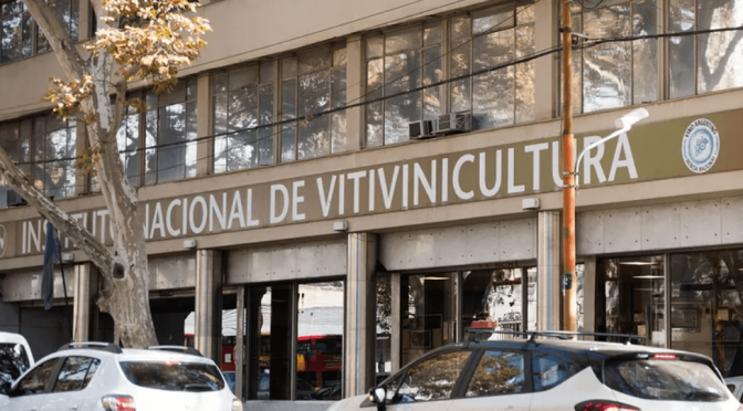 Revés para el Gobierno en el INV: la Justicia ordenó que, por ahora, siga siendo obligatorio un certificado clave