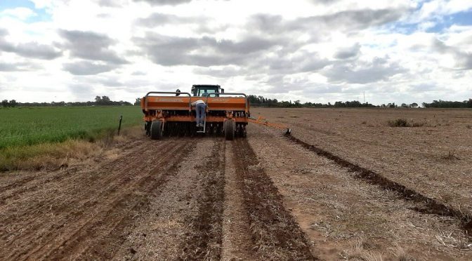 Alfalfa 2026 en el radar: la precisión comienza en la planificación del cultivo