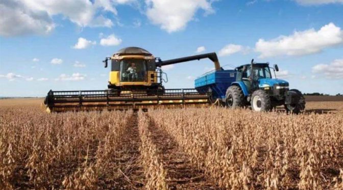 La moneda del campo: granos como instrumento financiero en el mercado inmobiliario